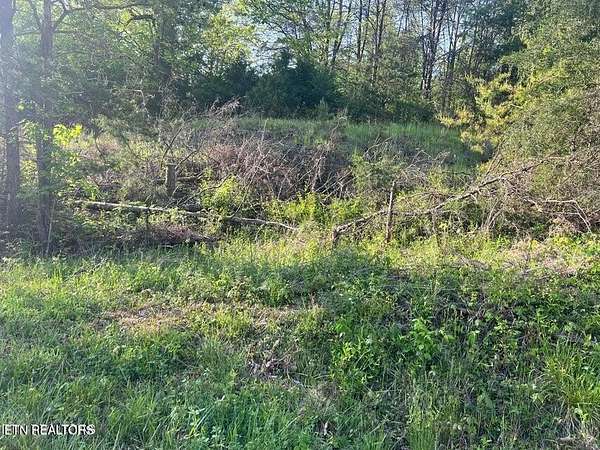 55 Acres of Land for Sale in Sneedville, Tennessee