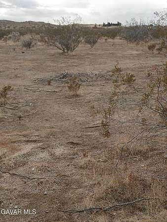 2.5 Acres of Land for Sale in Rosamond, California