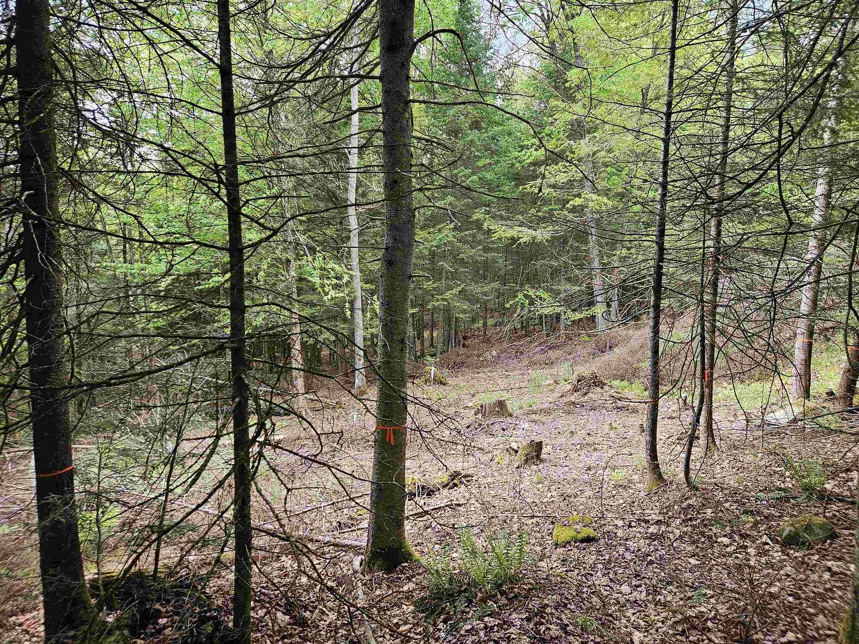 3.9 Acres of Residential Land for Sale in Lyman Town, New Hampshire