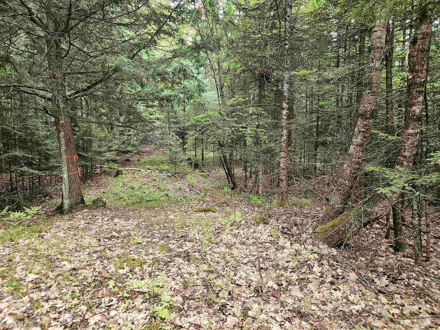 3.9 Acres of Residential Land for Sale in Lyman Town, New Hampshire