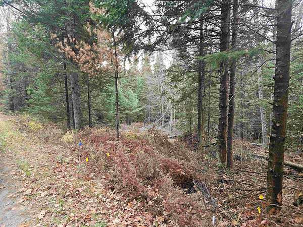 3.9 Acres of Residential Land for Sale in Lyman Town, New Hampshire