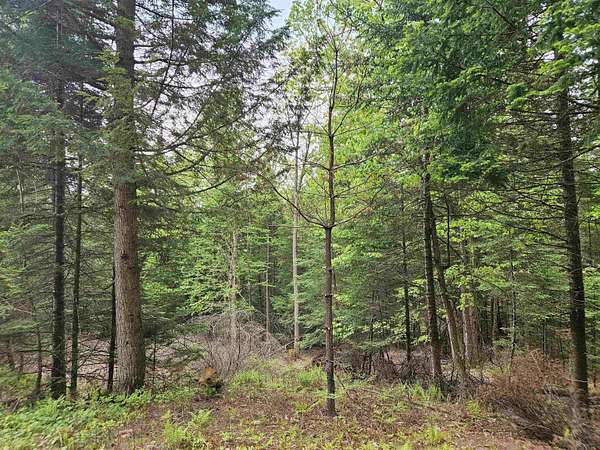 3.9 Acres of Residential Land for Sale in Lyman Town, New Hampshire