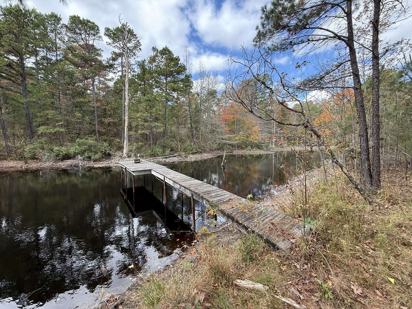 132 Acres of Recreational Land for Sale in Gilmer, Texas