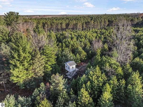 19.7 Acres of Recreational & Residential Land for Sale in Kingsley, Michigan