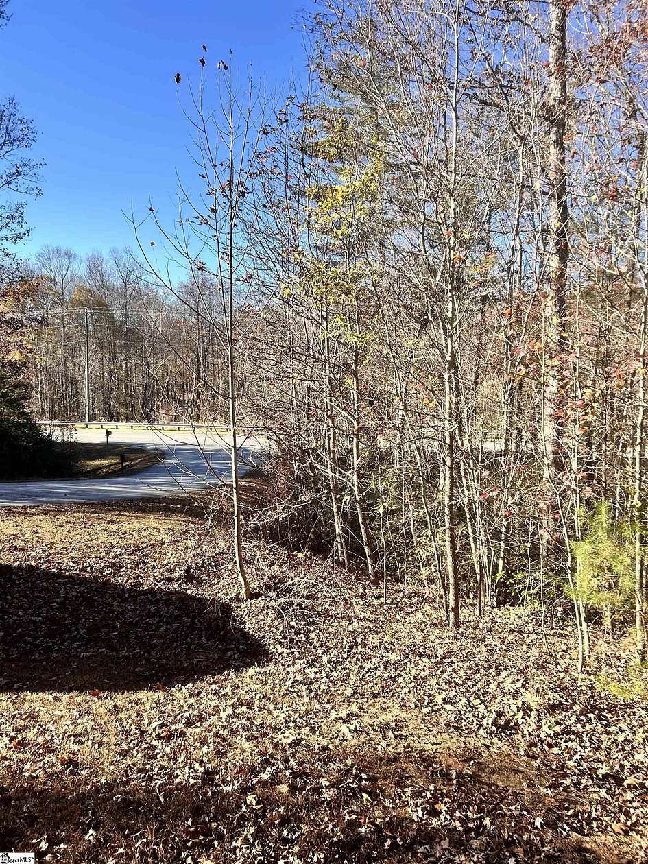 19 Acres of Land for Sale in Travelers Rest, South Carolina