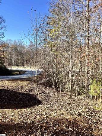 19 Acres of Land for Sale in Travelers Rest, South Carolina