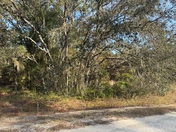 1.16 Acres of Residential Land for Sale in Dunnellon, Florida