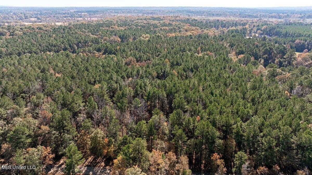 40 Acres of Land for Sale in Pelahatchie, Mississippi