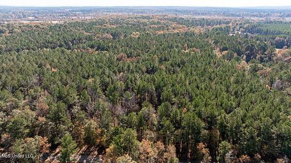 40 Acres of Land for Sale in Pelahatchie, Mississippi