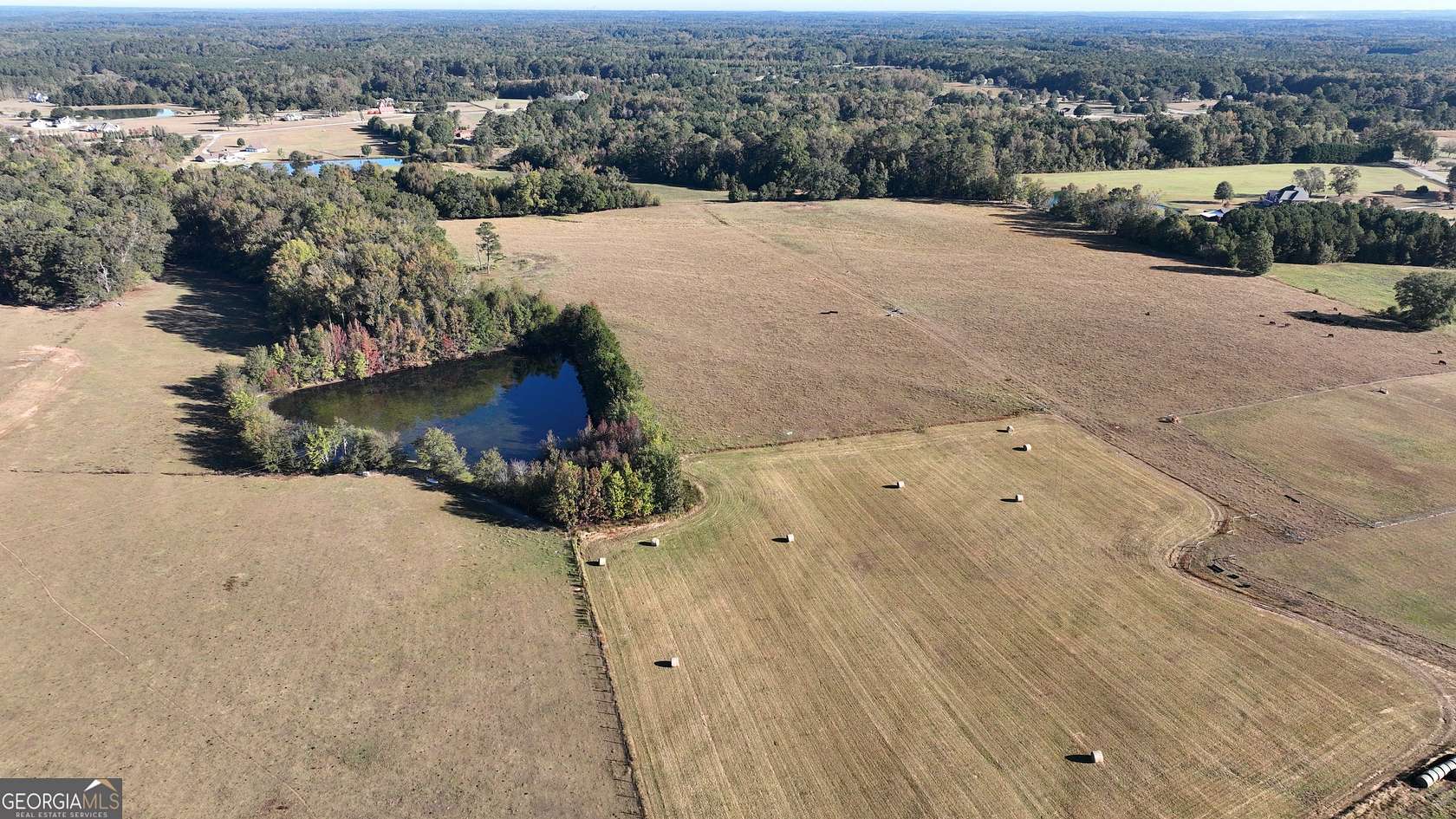 18.7 Acres of Agricultural Land for Sale in Brooks, Georgia