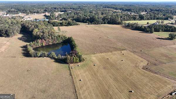 18.7 Acres of Agricultural Land for Sale in Brooks, Georgia