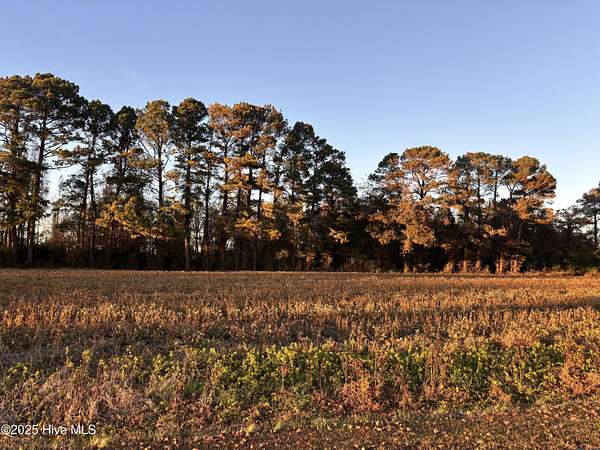 4.69 Acres of Residential Land for Sale in Clinton, North Carolina