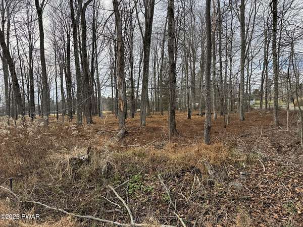 0.31 Acres of Residential Land for Sale in Greentown, Pennsylvania