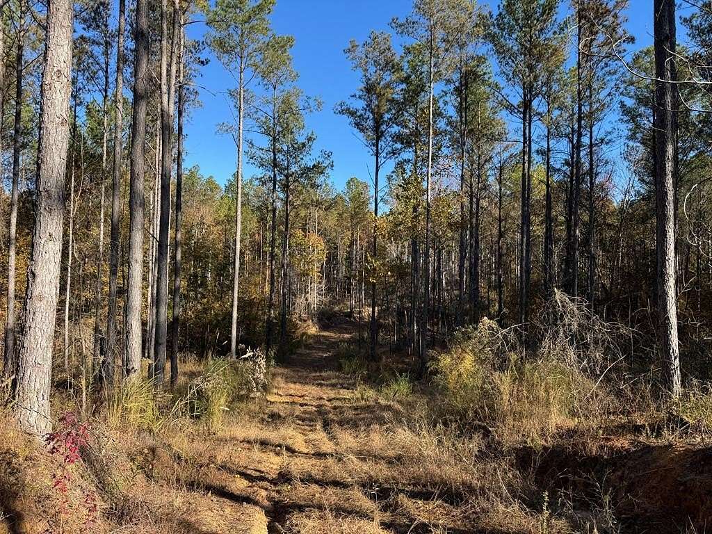 156 Acres of Recreational Land for Sale in Bruce, Mississippi