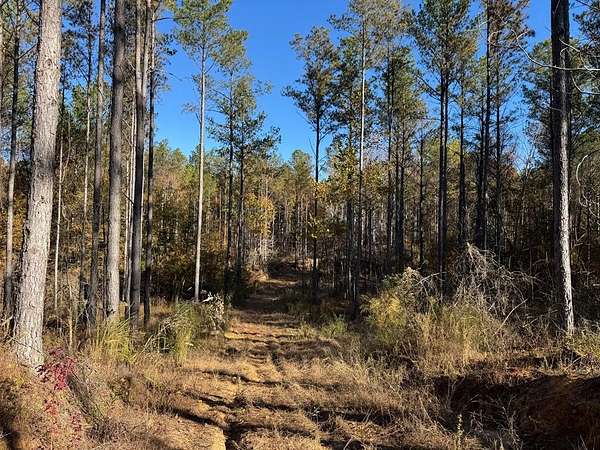 156 Acres of Recreational Land for Sale in Bruce, Mississippi