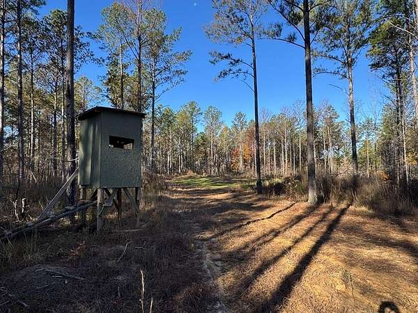 156 Acres of Recreational & Residential Land for Sale in Bruce, Mississippi