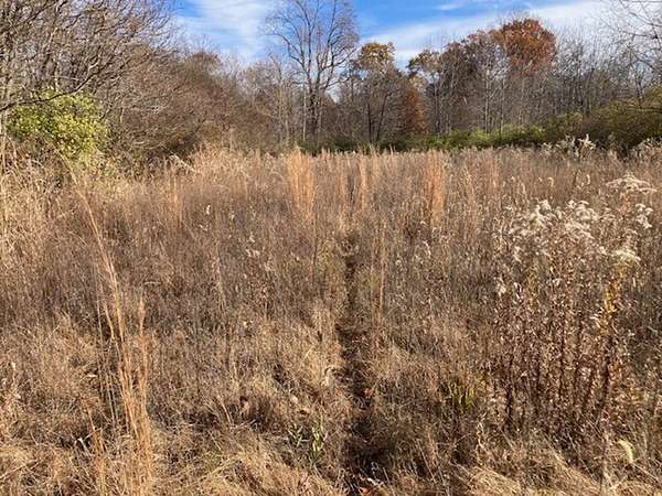 31 Acres of Recreational Land for Sale in West Terre Haute, Indiana