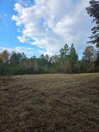 40 Acres of Recreational Land for Sale in Prentiss, Mississippi