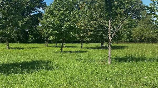 11.5 Acres of Land for Sale in Pendleton, Indiana