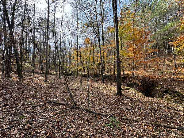 99 Acres of Recreational Land for Sale in Elberton, Georgia