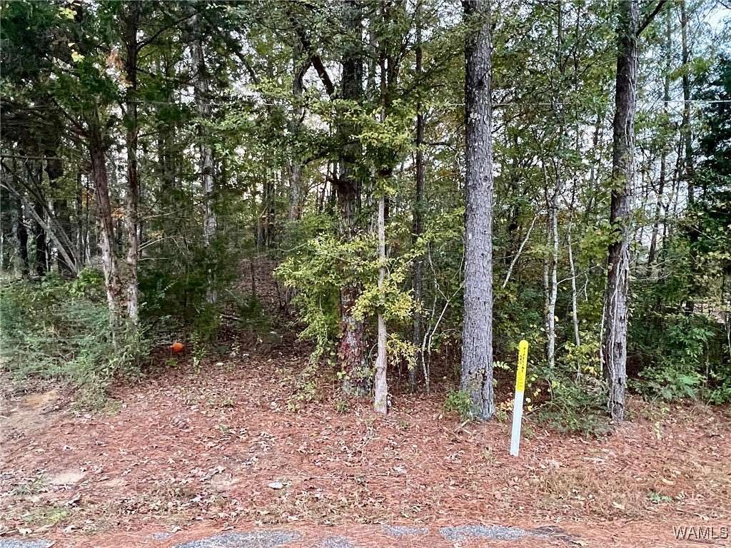 0.45 Acres of Residential Land for Sale in Fayette, Alabama
