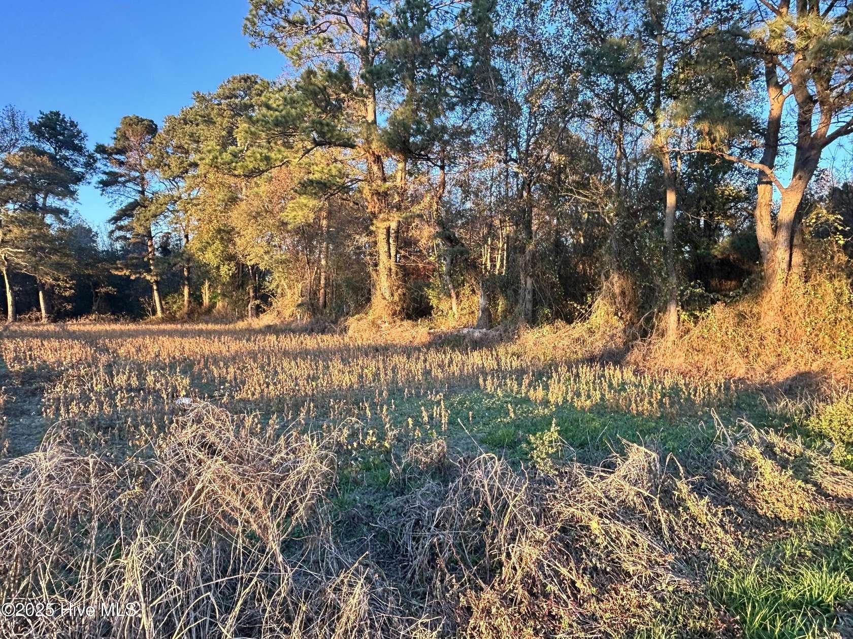 5.17 Acres of Residential Land for Sale in Clinton, North Carolina