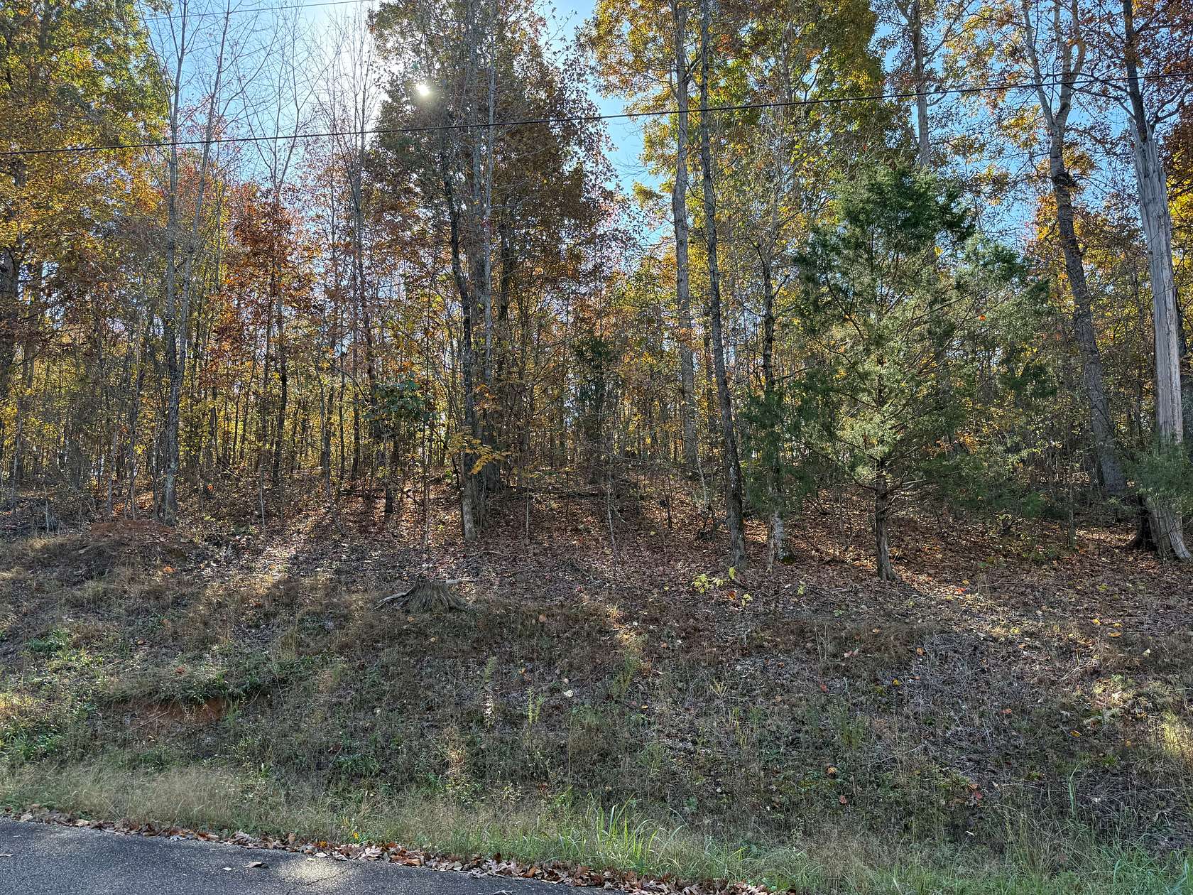 0.57 Acres of Residential Land for Sale in Savannah, Tennessee