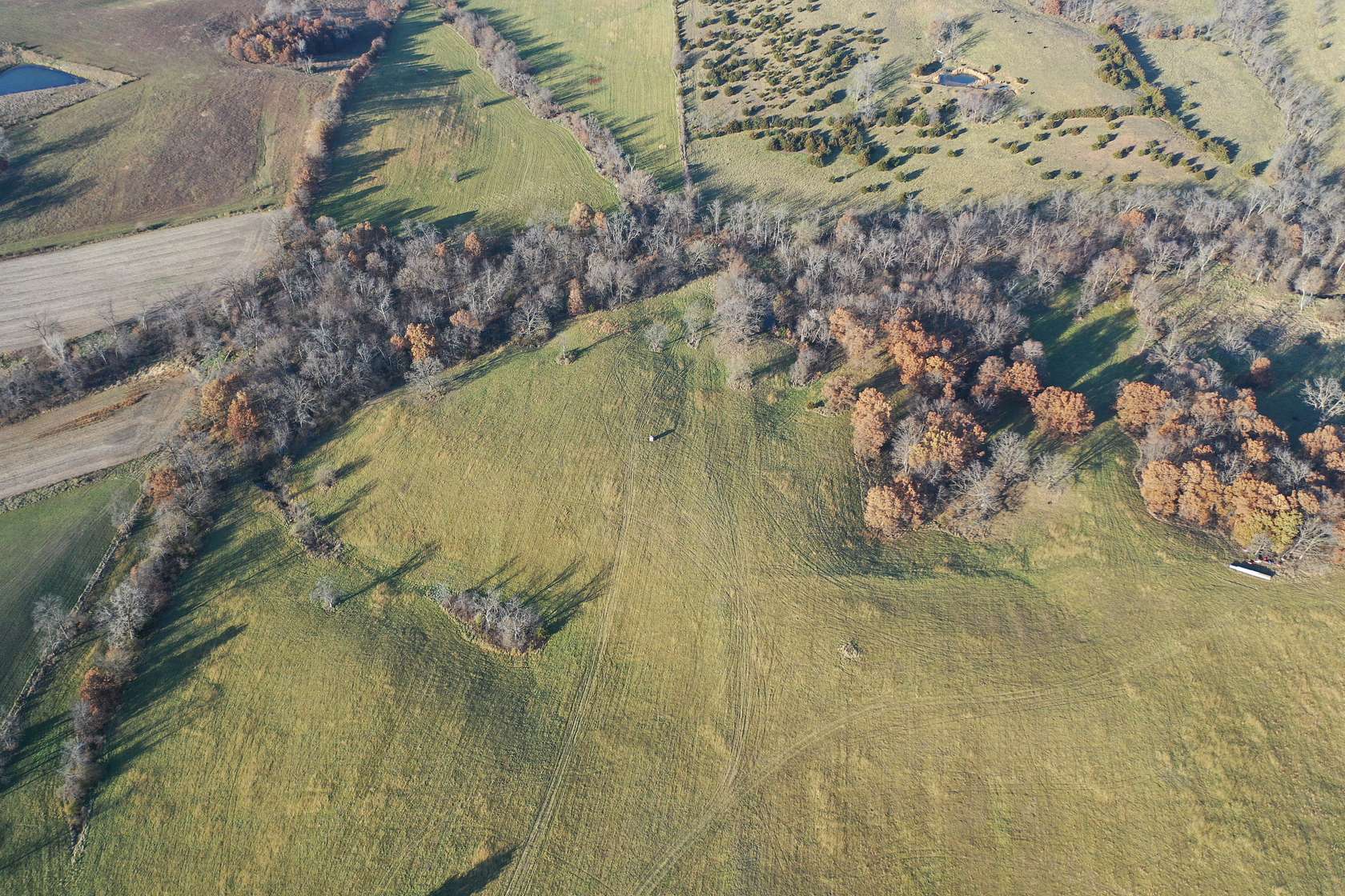 80 Acres of Recreational Land & Farm for Sale in Greentop, Missouri