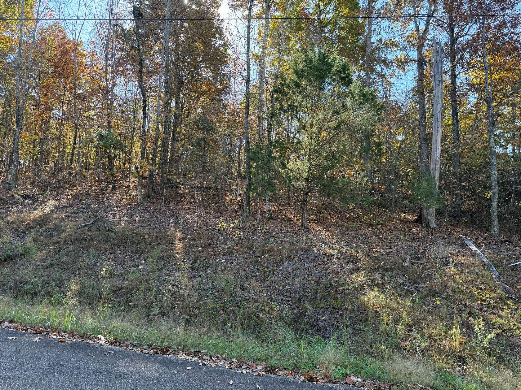 0.5 Acres of Residential Land for Sale in Savannah, Tennessee