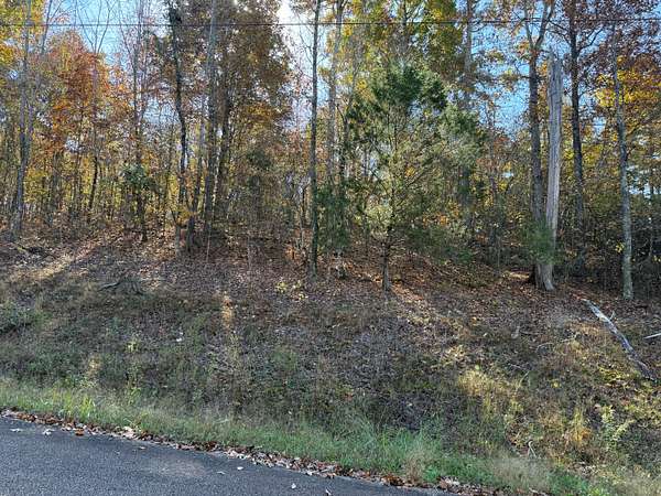 0.5 Acres of Residential Land for Sale in Savannah, Tennessee