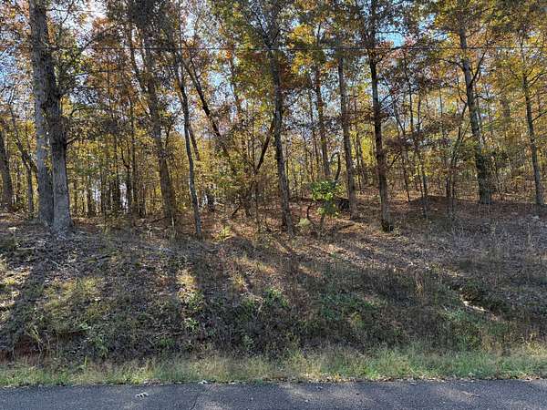 0.7 Acres of Residential Land for Sale in Savannah, Tennessee