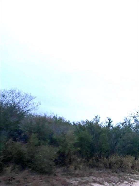 22.2 Acres of Land for Sale in San Diego, Texas