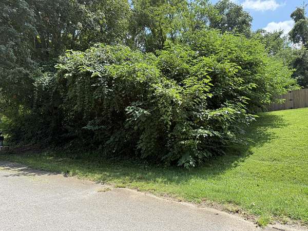 0.24 Acres of Land for Sale in Morristown, Tennessee