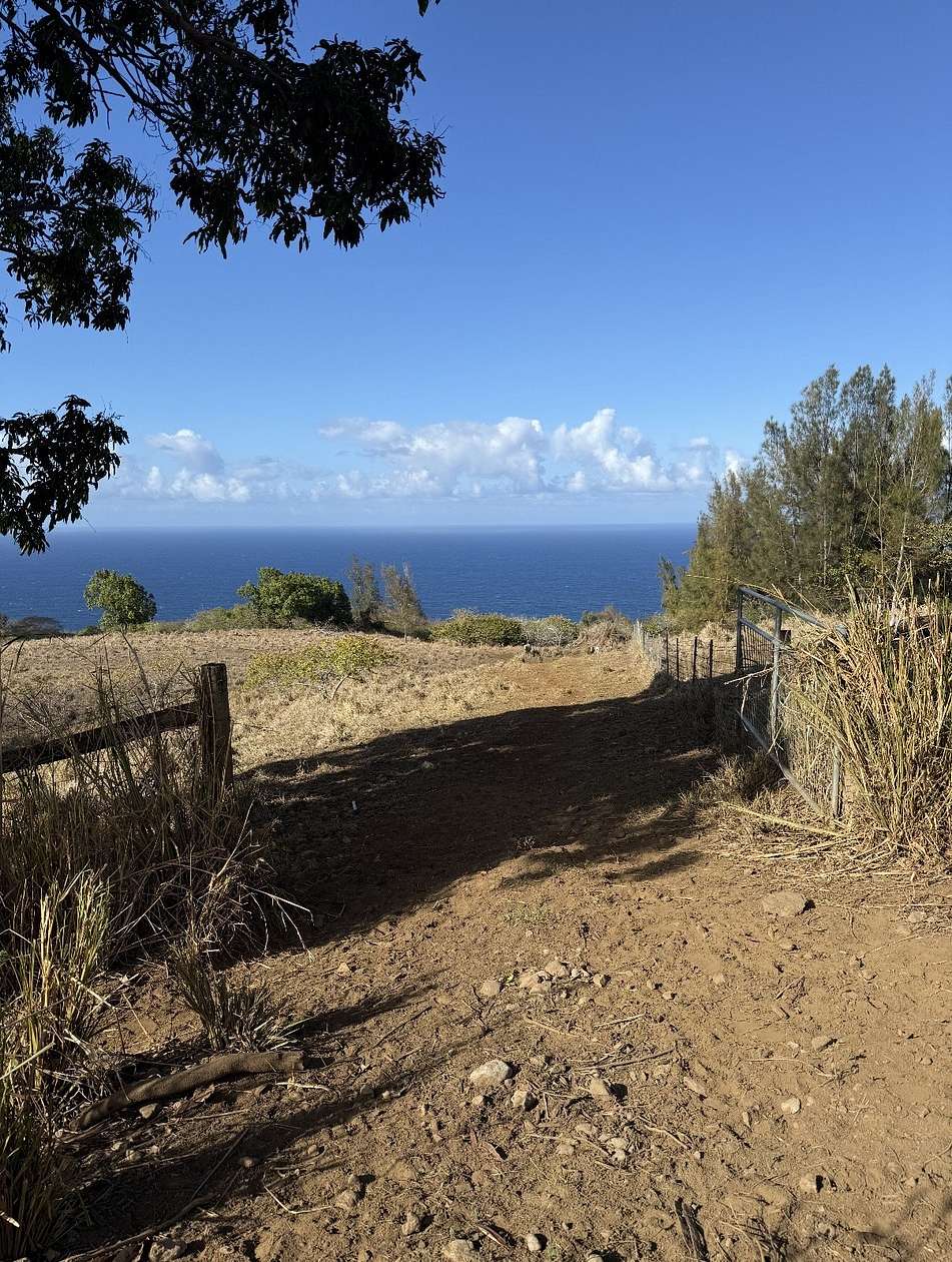 41.4 Acres of Recreational Land for Sale in Honokaa, Hawaii
