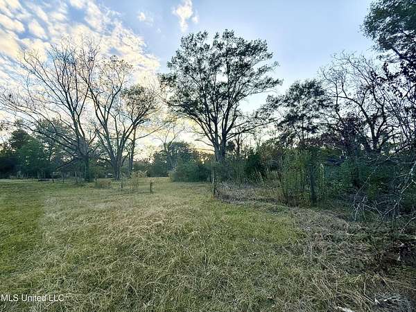 10 Acres of Residential Land for Sale in Jackson, Mississippi