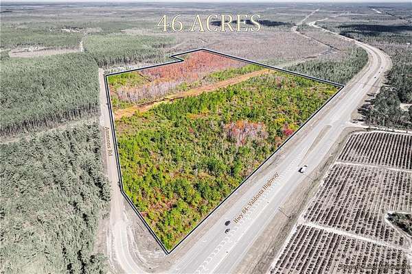 46.8 Acres of Land for Sale in Waycross, Georgia