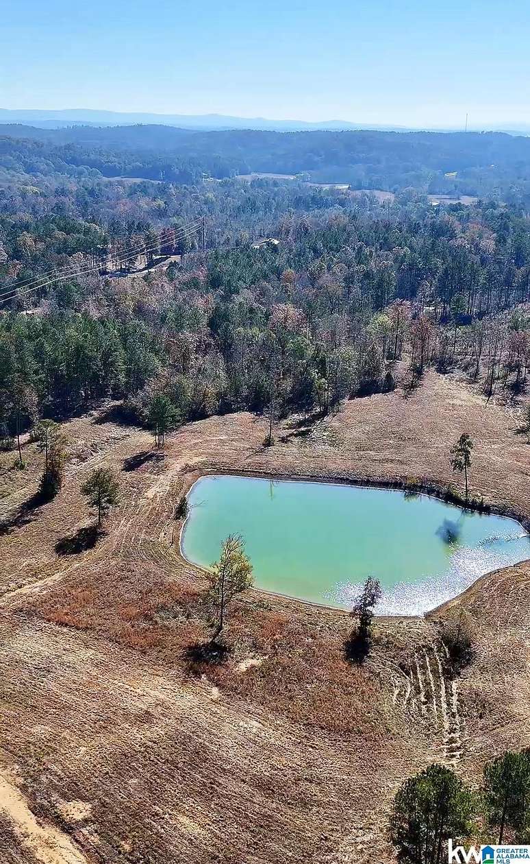 113 Acres of Land for Sale in Ohatchee, Alabama