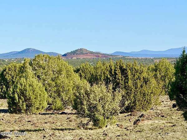 5.5 Acres of Residential Land for Sale in Show Low, Arizona