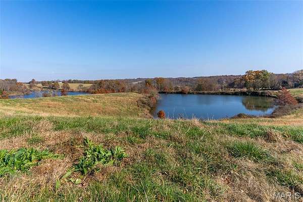 157 Acres of Land for Auction in Chaffee, Missouri