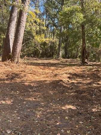 0.49 Acres of Residential Land for Sale in Woodbine, Georgia