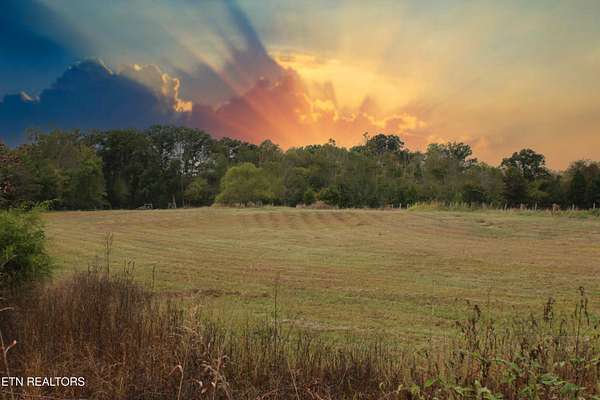 82.3 Acres of Land for Sale in Decatur, Tennessee