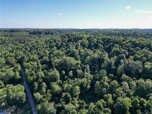 18.9 Acres of Recreational Land for Auction in Quaker City, Ohio