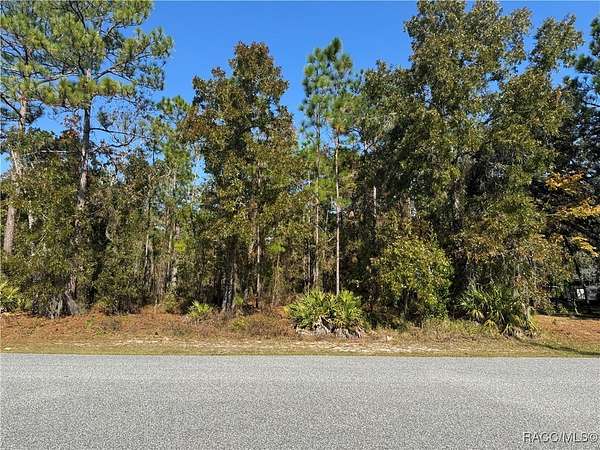 0.29 Acres of Residential Land for Sale in Homosassa, Florida