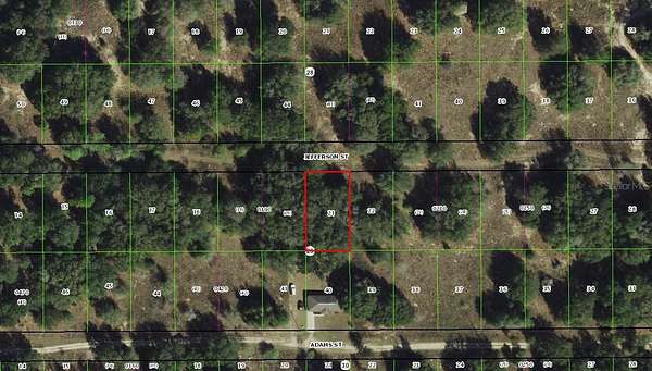 0.23 Acres of Residential Land for Sale in Inverness, Florida