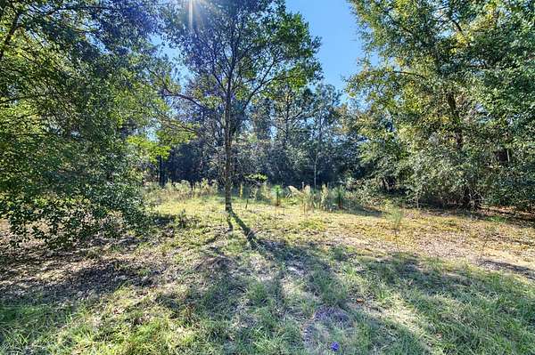 0.23 Acres of Residential Land for Sale in Inverness, Florida