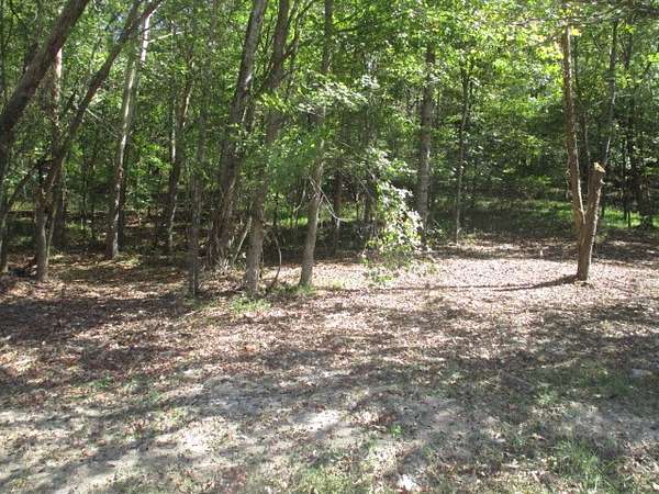 5.2 Acres of Residential Land for Sale in Bethpage, Tennessee