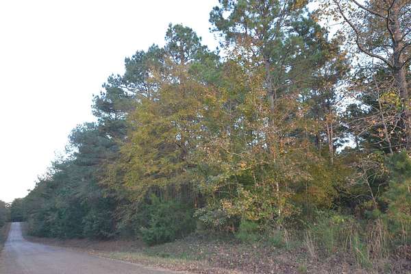 40 Acres of Recreational Land for Sale in Buckner, Arkansas