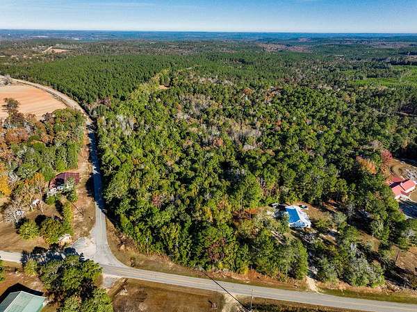 15.6 Acres of Recreational Land for Sale in Andalusia, Alabama