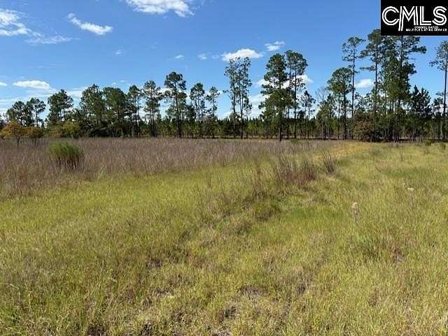 75.4 Acres of Recreational & Residential Land for Sale in Chesterfield, South Carolina