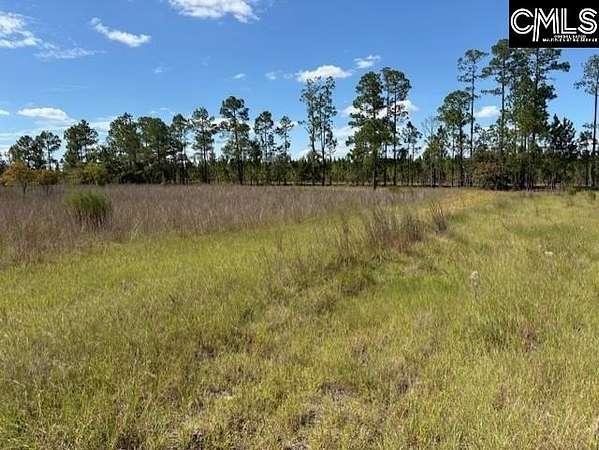 75.4 Acres of Recreational Land for Sale in Chesterfield, South Carolina